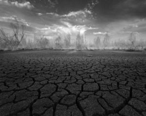Skale klimatu