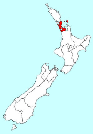 Makau