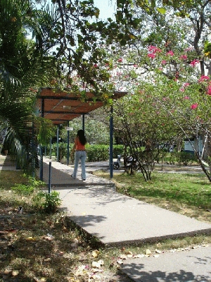 Maracay
